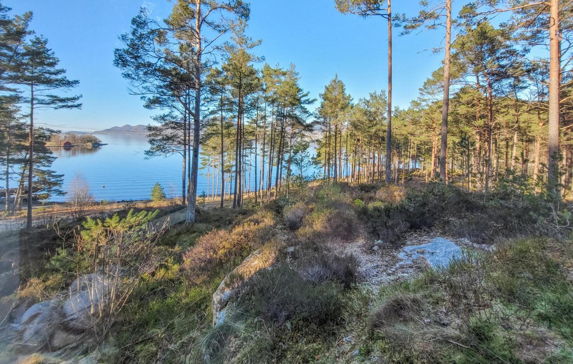 Gorgeous Home In Jorpeland With House Sea View Eksteriør billede
